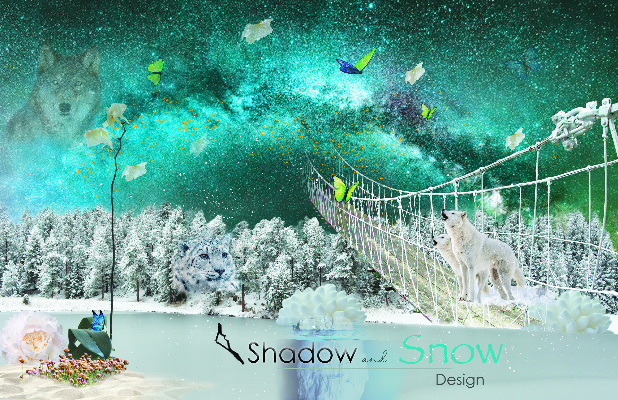 Shadow and Snow Photo collage